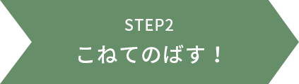 STEP2 こねてのばす！